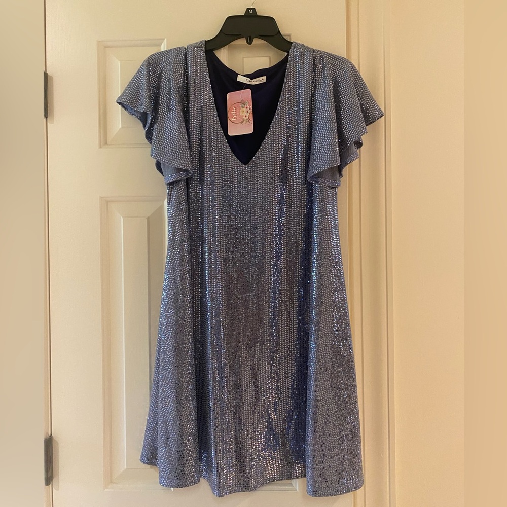 Dress-cocktail & shimmery